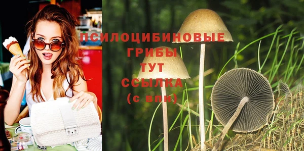 крисы Красавино
