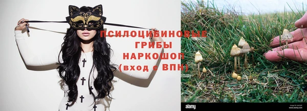 apvp Вязники