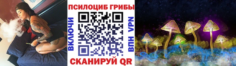 Псилоцибиновые грибы прущие грибы  Новохопёрск 